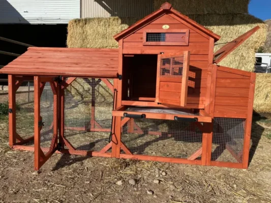Chicken Coop for 4+ Chickens – Leghorn Cottage Coop